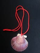 Concha de zamburi�a